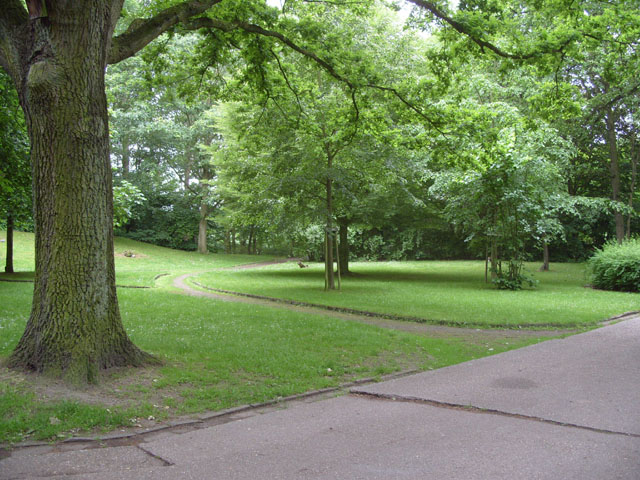 RVV02