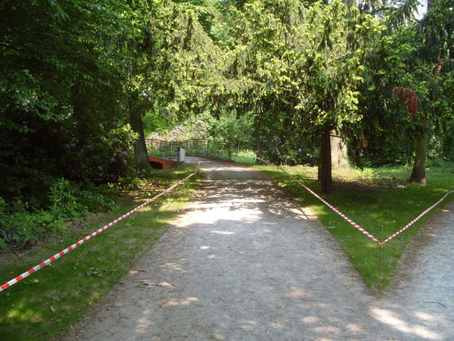 RVV05