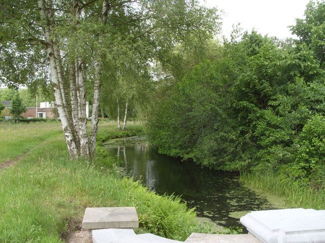 RVV11