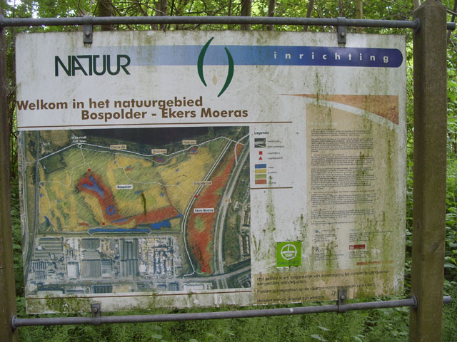 RVV18