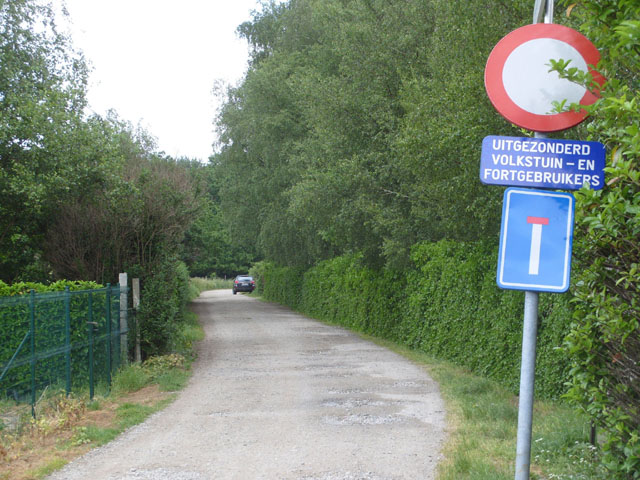 RVV19