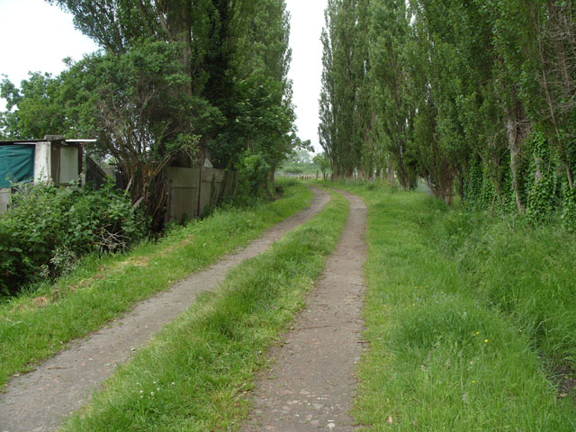 RVV20